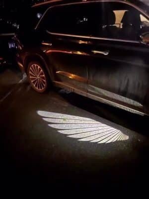 Angel Wings with Lights